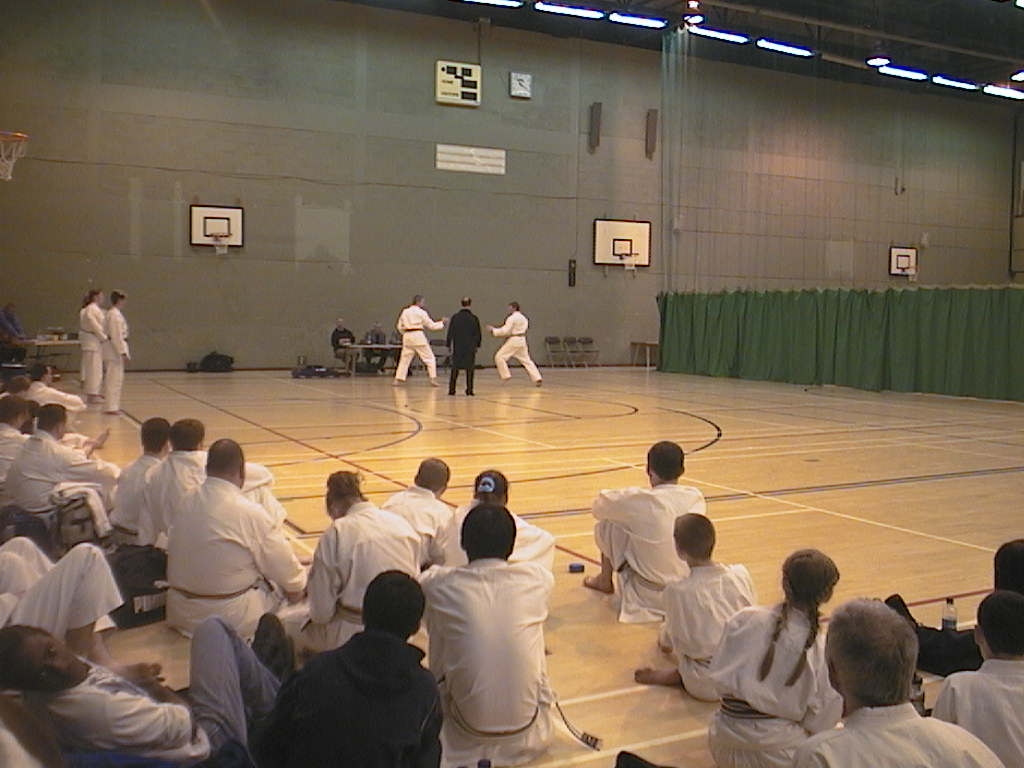 Will doing Kumite