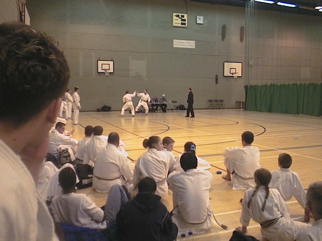 Will doing Kumite