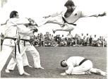 Flying Kick